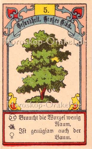 Gustav Kühn Wahrsagekarten der Baum