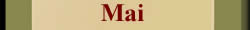 Zwillinge Singlehoroskop Mai