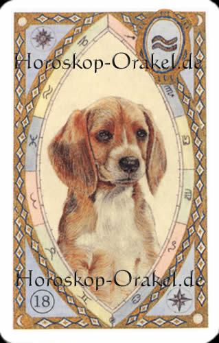 Der Hund, Zwillinge Monatshoroskop
